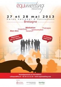 NWebsite2 Affiche Ifce Equimeeting