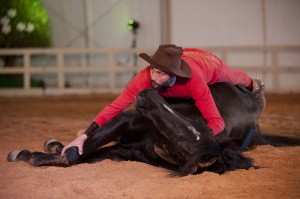 Lion d'Angers 20111228-0906