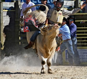 Bull Riding © Marc Bainaud