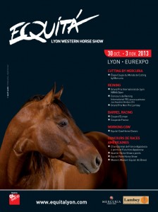 EQ13_AP_204x273_NEWESTERN_HD copie