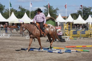 Félicitations à Guy Magnin Robin qui a réalisé une très belle performance dans la classe non pro western pleasure © Marc Bainaud