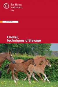 Cheval_techniques