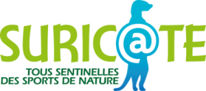 Les suricates disposent d’une organisation exemplaire avec un système d’individu sentinelle chargé d’alerter par cris le reste du groupe de dangers potentiels. Ces petits mammifères vivent dans le sud ouest de l’Afrique. 