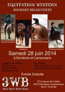 affiches_fete_du_club_2014