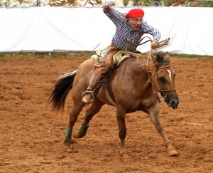 Luis Allende —¡Non fuyades, cobardes y viles criaturas, que un solo caballero es el que os acomete! ©Marc Bainaud