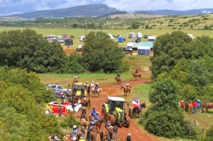 Tous les fans de travail du bétail à cheval trouvent à Lanuejols un évènement incontournable. ©Marc Bainaud