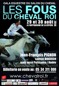 affichespectaclelesfousduchevalroi