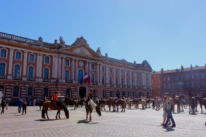 Des chevaux place du Capitol © Au Fil du Tourisme