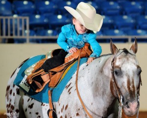 Monture et cavalier, parés pour la classe bout de chou ! © Shane Rux 