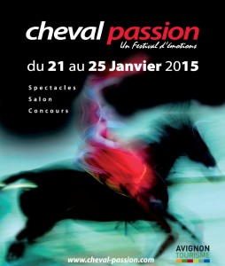Avignon 201501 copie