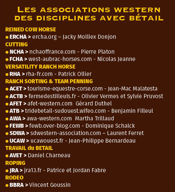 Listing-betail