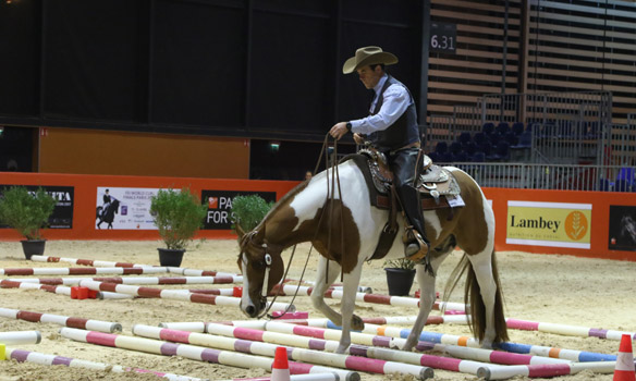 Pascal Filland - Lyon Equita Show Race Trail ©Marc Bainaud