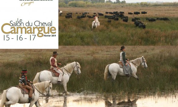 Les cowgirls et cowboys du delta du Rhône fêtent leur cheval de coeur
