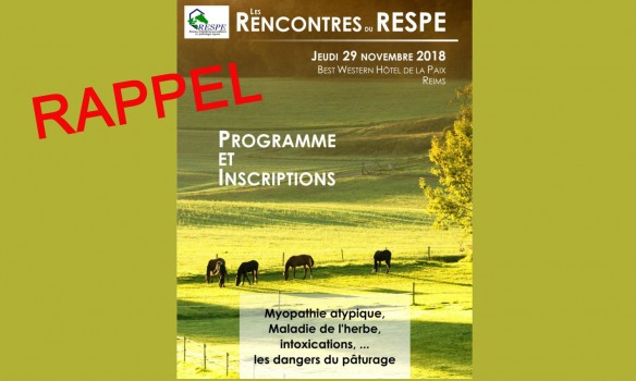 Pour tout savoir sur le pâturage, y compris ses dangers…