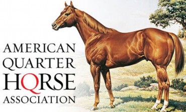 Association Française du Quarter Horse & American Quarter Horse Association