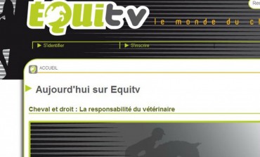 Une web TV sur le monde du cheval