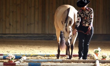 Championnats de France AFQH 2013 - 24 et 25 août