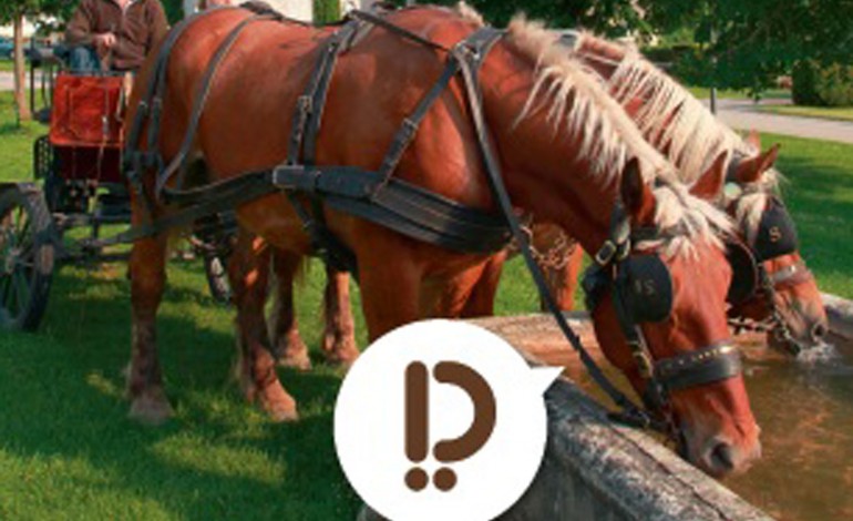 Le Doubs à cheval