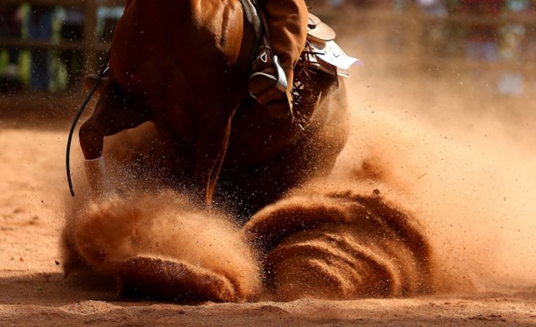 Finale Nationale d’Equitation Western AFEW