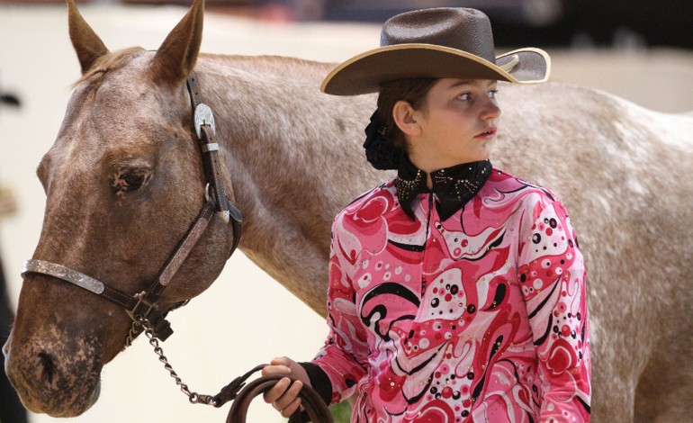 Equita’Lyon 2013 - Promesses tenues
