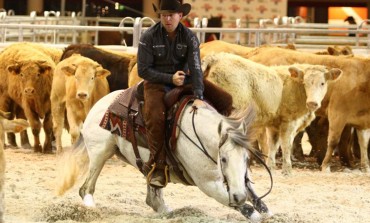 Chronique quotidienne du Salon du Cheval de Paris (2)