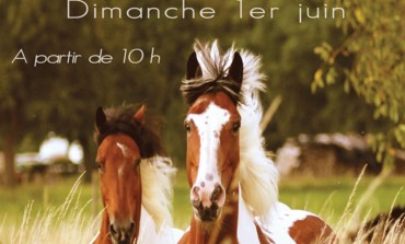 RV bien-être pour les chevaux  le 1er juin à Strasbourg