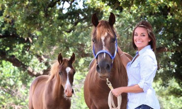 Quand les chevaux prennent l’avion…