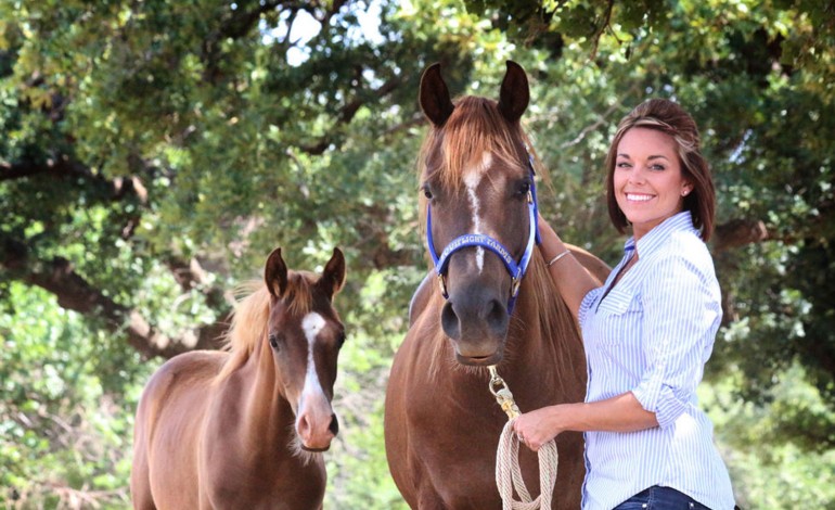 Quand les chevaux prennent l’avion…