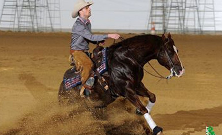 Kreuth (Allemagne) – 20 avril – CRI Concours de Reining International... qualificatif pour les JEM