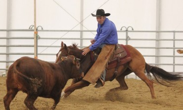 Frontenaud (71) – NCHA of France (deuxième manche) – 3 & 4 mai 2014