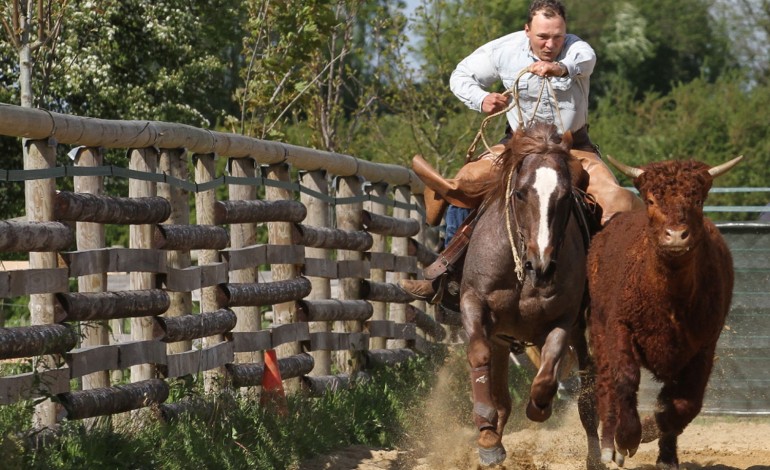 Versatile Ranch Horse Cup RHA 2014 Première Manche Contigné (49)