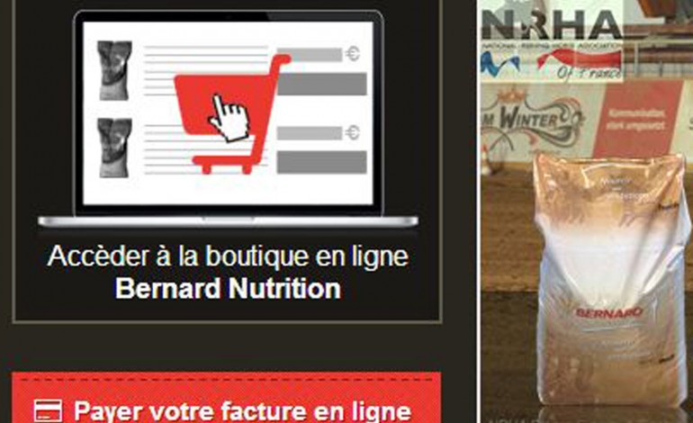 Bernard Nutrition Equine vend désormais en ligne