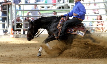 Le Pin (77) – Markel French Derby – 4/8 juin 2014 : Fabien Boiron au Paradis du reining