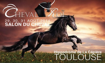 Cheval Roi de retour à Toulouse fin août 2014