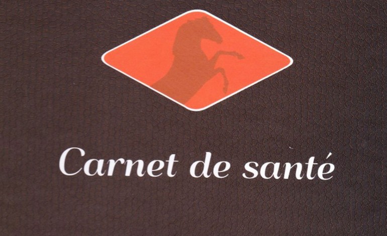 Le carnet de santé dont votre cheval a besoin