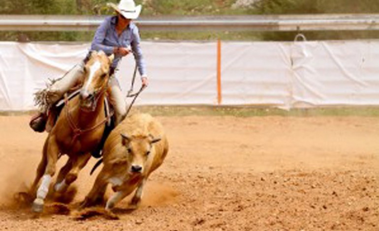 Lanuejols (30) – 17 au 20 juillet 2014 – Authentic Cowboys Days - Chapitre 3