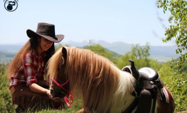 Les chevaux petits formats s’équipent western