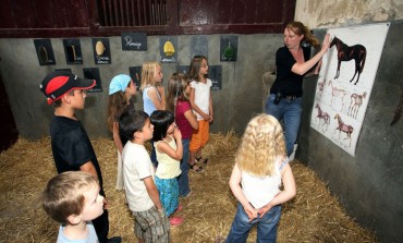 La France par la face cheval : halte en Vendée