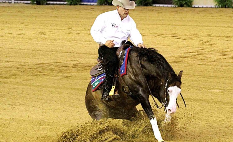 Caen (14) - JEM - Reining - Diaporama 1