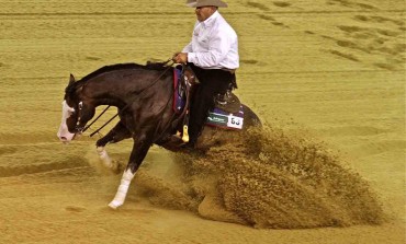 Caen (14) JEM - Reining - Finale bonheur