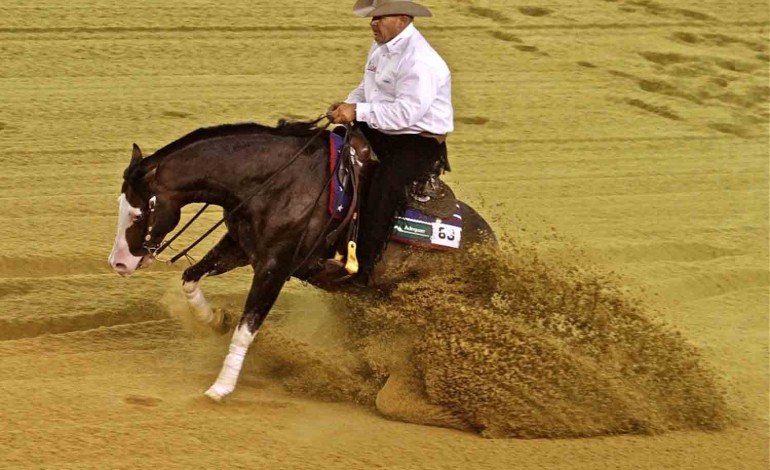 Caen (14) JEM - Reining - Finale bonheur