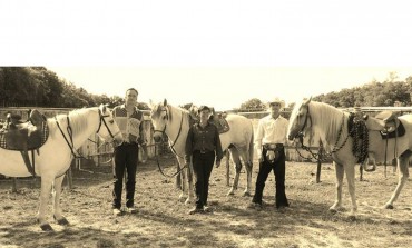 Tri de vaches corses sur chevaux américains dans le Gard !