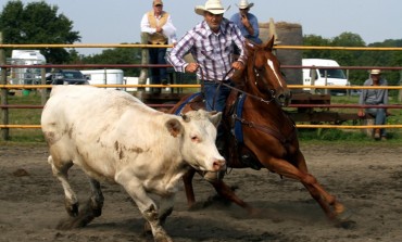 Goulet (61) - 4 et 5 octobre 2014 - Finales Ranch Horse Association