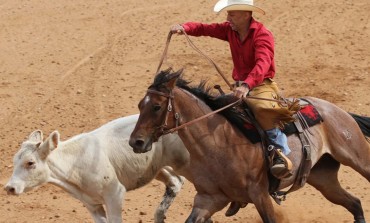 Reined Cow Horse - Saint-Symphorien-de-Lay (42) – Ranch Thelis – Deux manches ERCHA – 4 et 5 octobre 2014