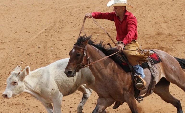 Reined Cow Horse - Saint-Symphorien-de-Lay (42) – Ranch Thelis – Deux manches ERCHA – 4 et 5 octobre 2014