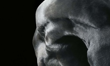 Les chevaux vus par Tim Flach s’exposent jusqu’au 21 septembre 2014 près du Mans (72)