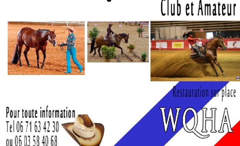 Concours western FFE en Poitou Charentes le 28 septembre 2014