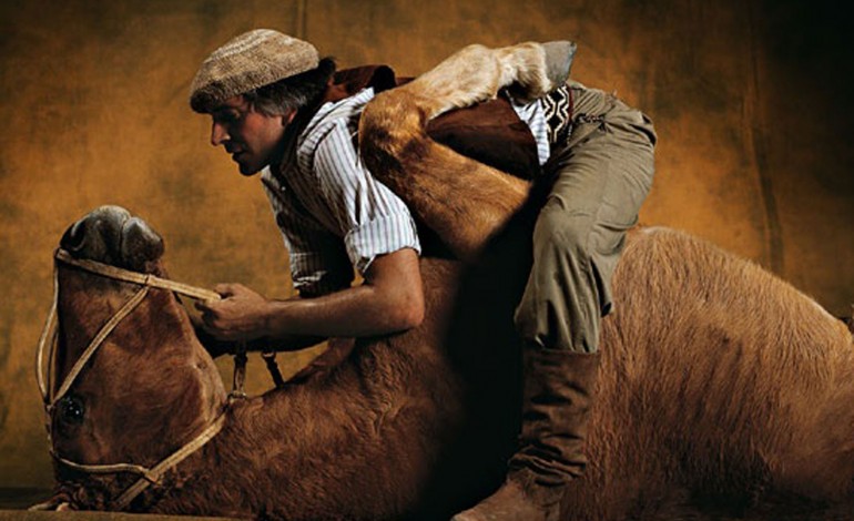 « Les plus beaux chevaux du monde » sont sur Campagnes TV