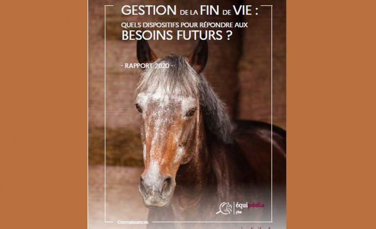 Votre cheval prend de l’âge, ce qu’il faut savoir