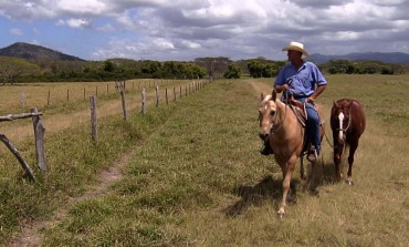 Le quarter horse sur les pistes texanes et néo-calédoniennes avec Equidia Life